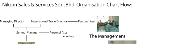 NIKOM SALES AND SERVICES ORGANISATION CHART FLOW